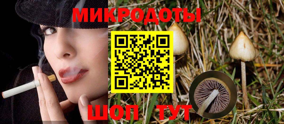 Галлюциногенные грибы мицелий  Вход с VPN  Советск 